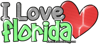 Florida Love State of Florida image
