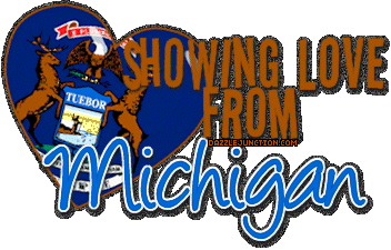 Love From Michigan State of Michigan image