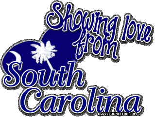 Love From Southcarolina State of South Carolina image