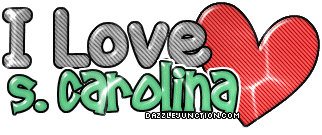 S Carolina Love State of South Carolina image