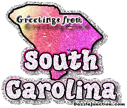 Scarolina Greeting State of South Carolina image