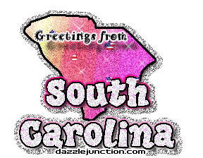 South Carolina State of South Carolina image