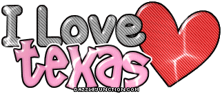 Texas Love State of Texas image