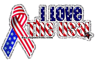 Love The Usa America image