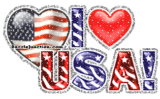 Love Usa America image