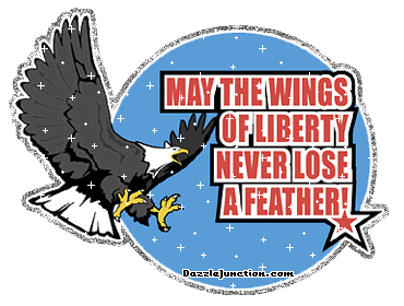 Wings Of Liberty America image
