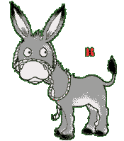 Donky Animations image