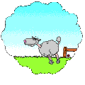 Fence Jumper