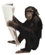Monkey Newspaper Animations image