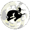 Moon Witch Animations image