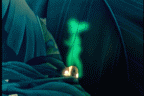 Tinkerbell Peeks