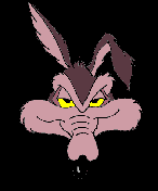 Wile E Coyote Animations image