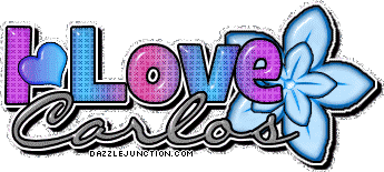 I Love Carlos I love Boys Names image
