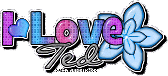 I Love Ted I love Boys Names image