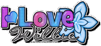 I Love Willie I love Boys Names image
