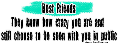 Best Friends Public Funny image