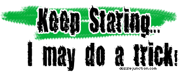 Keep Staring Do A Trick Funny image