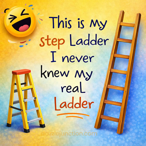 Step Ladder Funny image