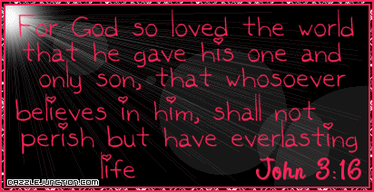 Pink John 3:16