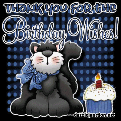 Thank You Birthday Cat Birthday Thanks greeting image