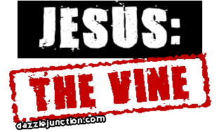 The Vine