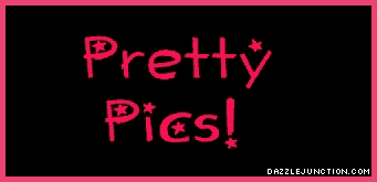 Comp Compliments greeting image