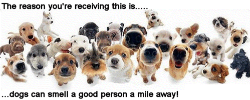 Comp Compliments greeting image