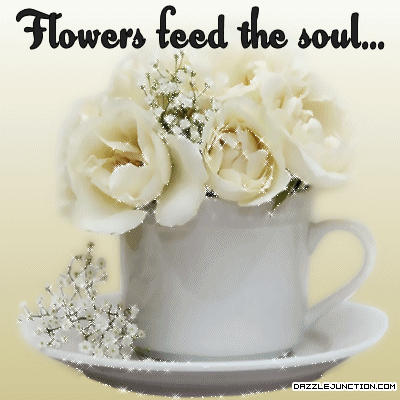 Feed Soul