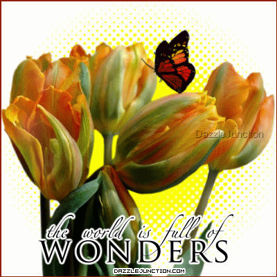 Flower Flowers greeting image
