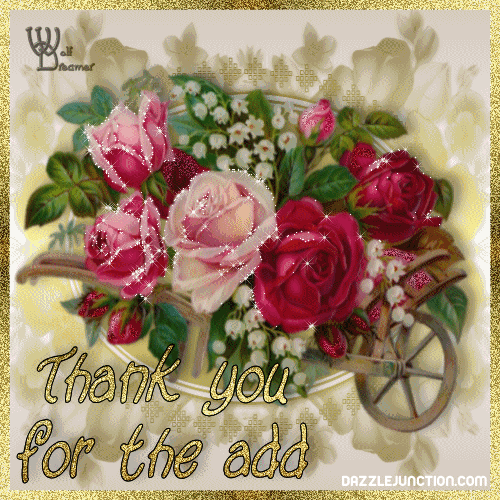 Flower Flowers greeting image