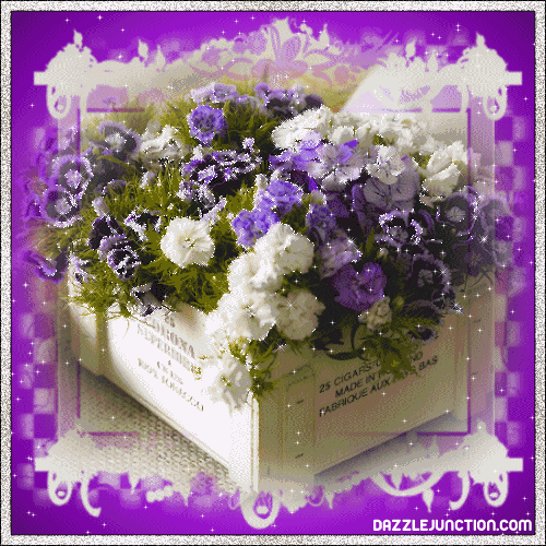 Flower Flowers greeting image