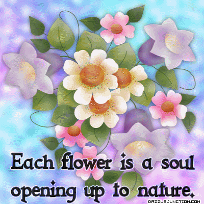 Soul Flowers greeting image