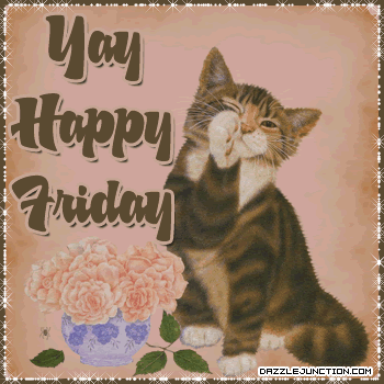 Cat Yay Friday