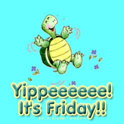 Friday Yippee Turtle image