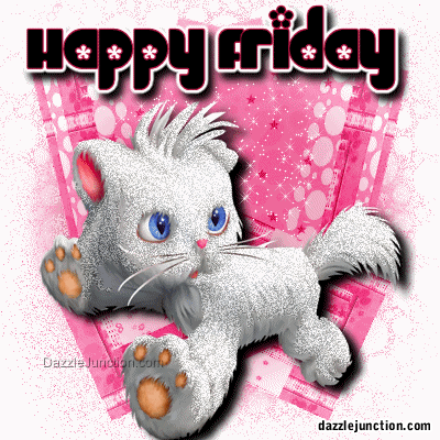 White Cat Friday