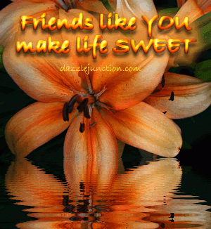 Friendship