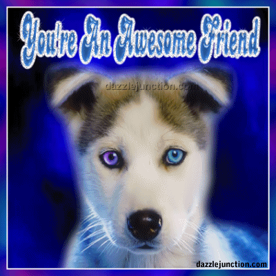 Awesome Friend Dog Eyes Friendship greeting image