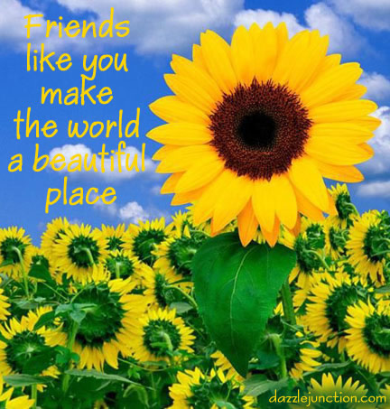 Sunflower Beautiful Place