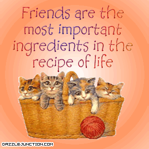 Recipe of Life
