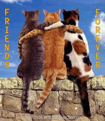 Three Hugging Cat Friends