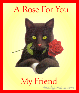 Rose For Friend