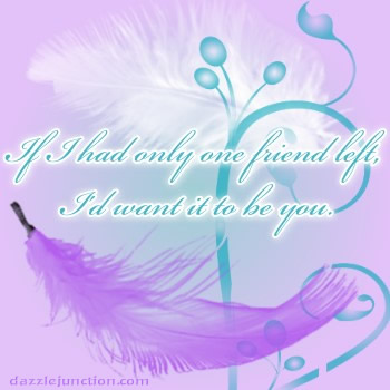 One Friend Feathers