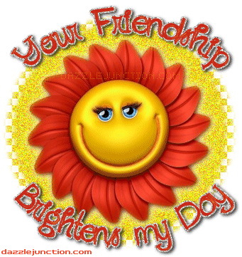 Your Friendship Brightens image