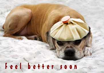 Get Well image