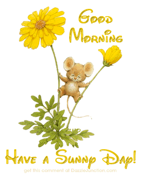 Good Morning Sunny Day