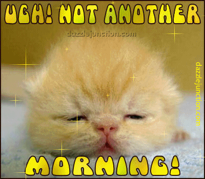 Not Another Morning