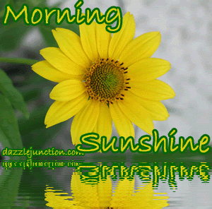 Yellow Morning Sunshine Good Morning greeting image