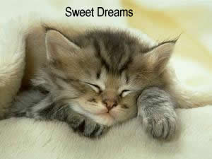 Good Night image