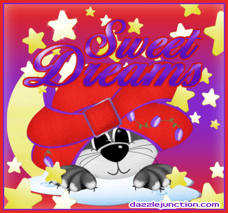 Sweet Dreams Cat Good Night greeting image