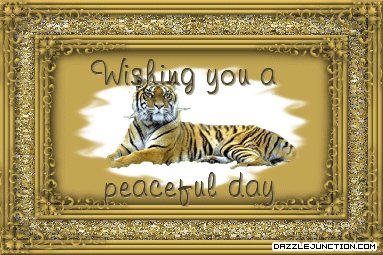 Peaceful Day